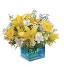 /images/ftd09white/D6-4040^1lg.jpg Little Boy Blue Bouquet